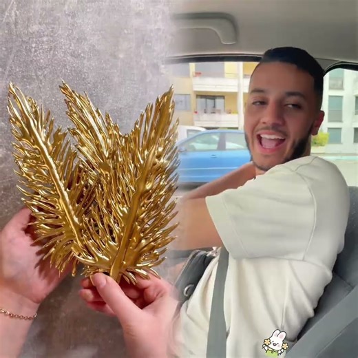 Nous demander pas comment on a fait pour le rentrer là même nous on sait pas..🤣🤣