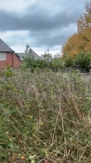 Have you got a vacant property or maybe you have bought a house which needs a garden overhaul? Here at 'Astley Garden Services' we pride ourselves as specialists in being able to bring an overgrown garden back from the brink - no grass too long no hedge too overgrown. Years of experience and training means we are not phased by this work, knor will we cut corners. Every customer is treated the same and the job will be finished off to a high standard. Interested in finding out more? Message us her