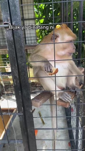 Sufybaharudin on TikTok