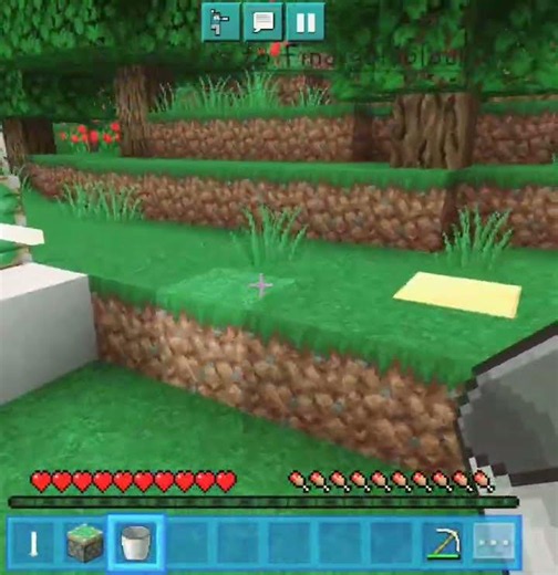 if I find gold I win #mincraft #funnyshorts