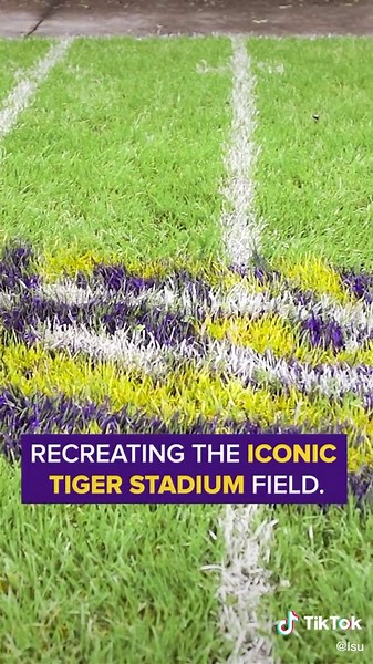 Recreating Tiger Stadium Field: A Tradition Since 2004