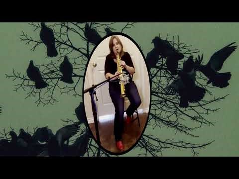 Blackbird ( Singing in the Dead of Night) on Soprano saxophone