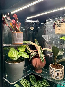 120mm / 80mm Adjustable Magnetic Fan Mount Cabinet Greenhouse Magnetic Mount Entertainment Center PC Enclosure W/ 3d Printed Wrench - Etsy