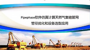 Pipephase计算天然气集输管网管径优化和设备选型