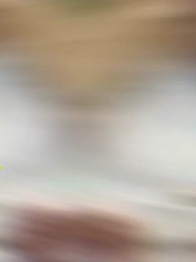 Based Guy 🏴‍☠️🇷🇸 (@basedguy05) - Based Guy 🏴‍☠️🇷🇸 (@basedguy05)’s videos with original sound - Based Guy 🏴‍☠️🇷🇸