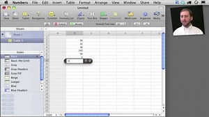 How to Add up a column of figures with Apple's Numbers '09