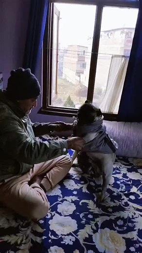 Daily Routine for Pet Lovers with Oreo and Sandy Cookie