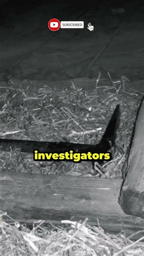 The Hinterkaifeck Farm Horror 😨🏚️ || #trueevents #darkmystery #unsolvedcase