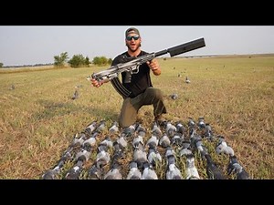 Silenced 12 Gauge Pigeon Hunt We Couldn't Reload Fast Enough