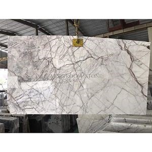 [Hot Item] Elizabeth Bookmatch Marble Tile Slab for Feature Wall and Flooring