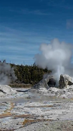 Grotto Geyser #grotto #grottogeyser #yellowstone #naturephotography #landscape #yellowstonepark