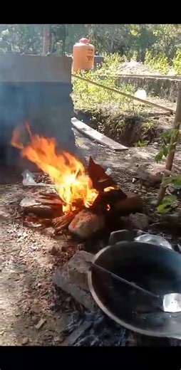 16 reactions · 8 comments | Lagi bakar jambu mete gays | Leo Lambu Bima | Facebook