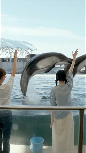 Connecting you with living creatures. | Kinosaki Marine World Renewal Opening #KinosakiMarineWorl...