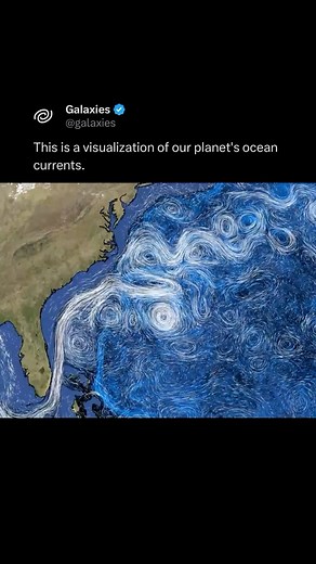 Galaxies on Instagram: "This is a visualization of our planet’s ocean currents. Currents at depths of up to 600 meters are shown in white, while deeper currents are shown in shades of blue. The visualization was created using a variety of data sources: satellite measurements, buoys with sensors, and other in-situ data. The visualization is based on data from 2021 to 2023."