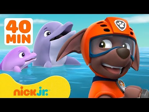 PAW Patrol Zuma’s Ocean Adventures! w/ Rocky & Chase 🐬 40 Minute Compilation | Nick Jr.