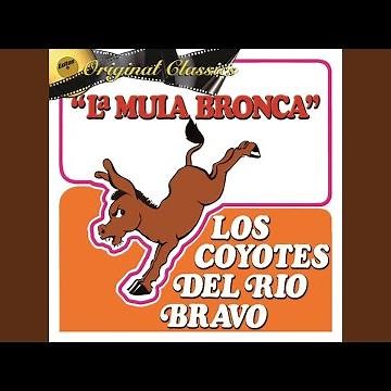 Corrido Del Año Nuevo