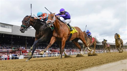 Analysis of Key Horses in the Dave's Friend Stakes Race