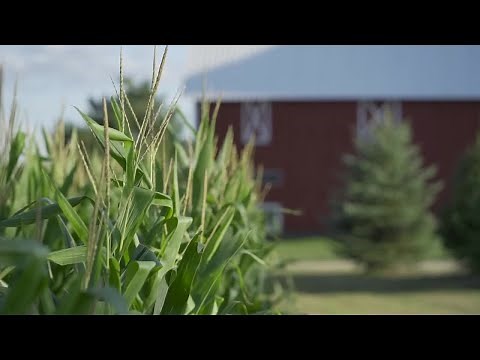 Sound Agriculture: Sustainability Powered by Science