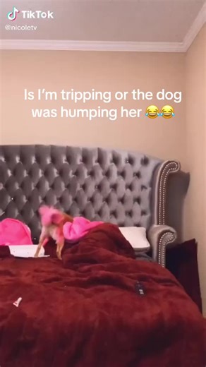 Dogs and Women Intimate Videos