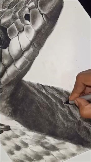 realistic snake||drawing||shorts||video||charcoal||