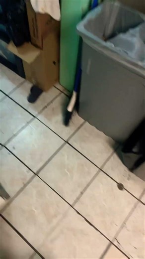 #haveitoldyoulatelythatiloveyou