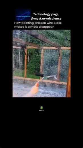 Tech on Instagram: "Painting chicken wire black is like giving it a magic cloak of invisibility! 🧙‍♂️✨ In this cool trick, the black paint makes the wire mesh almost disappear against the background, blending it seamlessly with the surroundings. Whether you're building a chic outdoor enclosure or a stealthy hideout for your feathered friends, this hack is gonna level up your DIY game. The contrast between the black paint and the natural backdrop creates an illusion where the wire seems to vanis