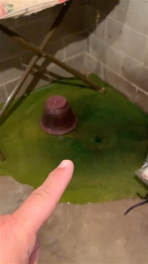 Septic Surprise! Green Dye Everywhere! #homeinspectionfail
