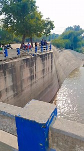 Seema Sai Vlog on Reels