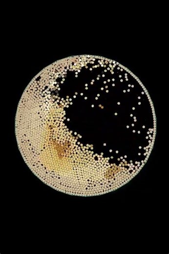 What do you see? #shorts