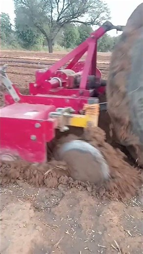 #farming #stunt #thar #bulldozer # #shortsfeedvideo #constructionequipment