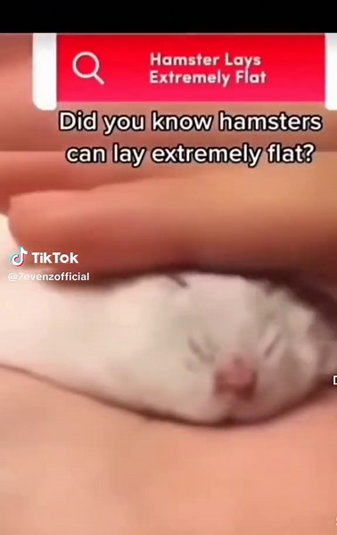 7evenz (@7evenzofficial)’s videos with original sound - 7evenz