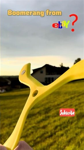 Boomerang from ebay ? #boomerang #bumerang #fun#toy #ebay#decathlon