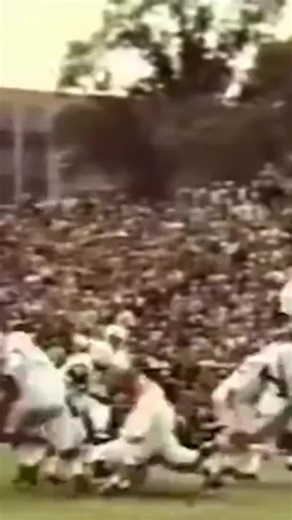 🏈 thebanbnerman.ca presents: On December 11, 1972, New York Jets wide receiver Don Maynard set a new professional football milestone by catching his 632nd career pass, becoming the all-time receptions leader. A record that highlighted the career of one of the greatest pass-catchers in NFL history. Do you remember watching Maynard’s legendary catches? 📽️ Powered by onthisday.com and youtube.com. | Thebannerman.ca