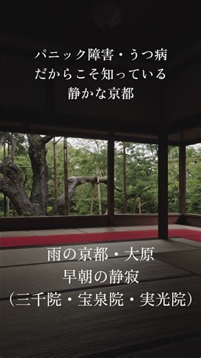 鬱病・パニック障害だからこそ知っている静寂な京都/一人が好き/混雑は苦手/でも癒されたい/京都でお勧めのお寺の紹介②/大原編/ #パニック障害 #kyoto #癒し