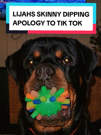 Apology Video Part 2 - Lijah the Midnight Skinny Dipper