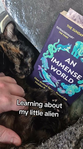 The creature #aliens #cats #books