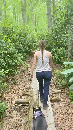 We’re so excited to start hosting in-person foraging and gardening events this year!