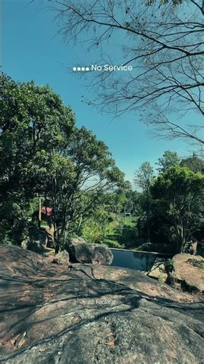 The best connection happens when you lose signal. 🌲📵