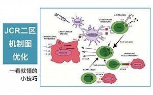 两个简单小技巧，让图片美感直线上升【机制图优化2】