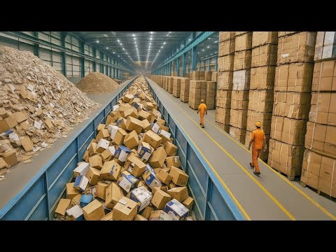 How Millions of Cardboard Boxes Are Recycled Within a Huge Recycling Line