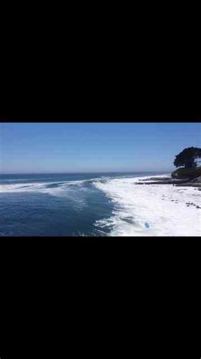 Surfing the Waves in Santa Cruz, California