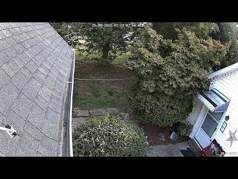 Live Stream from Reolink RLC-823A 4K 8MP PTZ Camera - 1st back yard patrol at night - new location