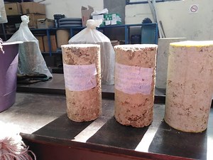 [Hot Item] Soil Stabilization Acrylic Emulsion Polymer