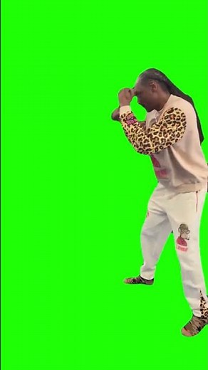 Snoop Dogg Boxing - Green Screen