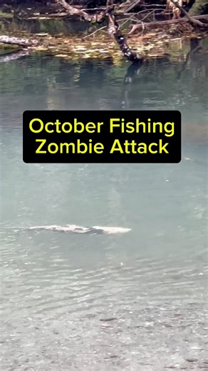 205K views · 612 reactions | This Coho Salmon Couldn’t excuse himself from this 10mm hard bead trout rig #fishing #trout #salmon #cohosalmon | Alaska Living the Dream Fishing and Outdoors | Facebook