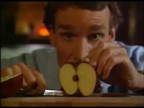 Bill Nye the Science Guy S05E04 Architecture