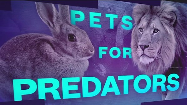 Danish zoo asks people to donate pets to feed predators