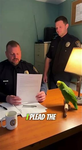 Parrot Interrupts Police Interrogation — “I Plead the Squawk!” 🦜😂👮‍♂️ | Real Office Footage 2025