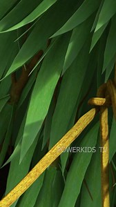 6.6K views · 200 reactions | Mogali new  reels #$#$ #3dcatoonten #viralpost2024 #viralreelsfacebook #mogali #facebookpost | Film production house | Facebook