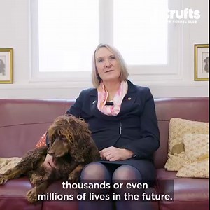 11K views · 383 reactions | One of The Kennel Club Hero Dog finalists is Claire and Asher, they have been nominated in the Rescue Dog Hero category. Watch their full story and vote for your favourite at crufts.org.uk/HDA. | Crufts | Facebook
